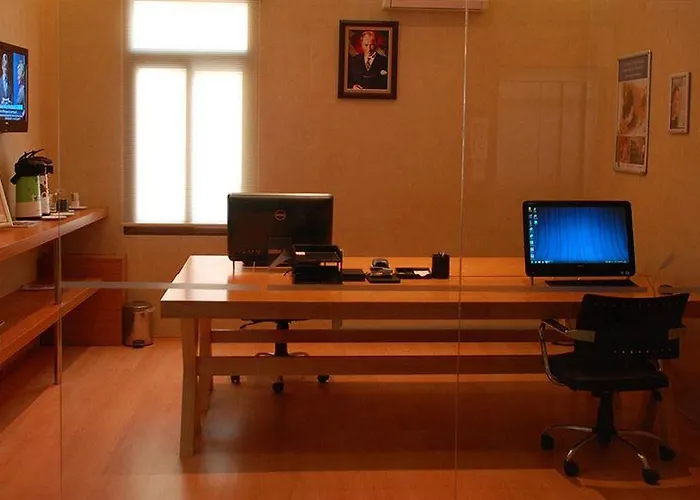 Hotel Anemon Aydin 4*