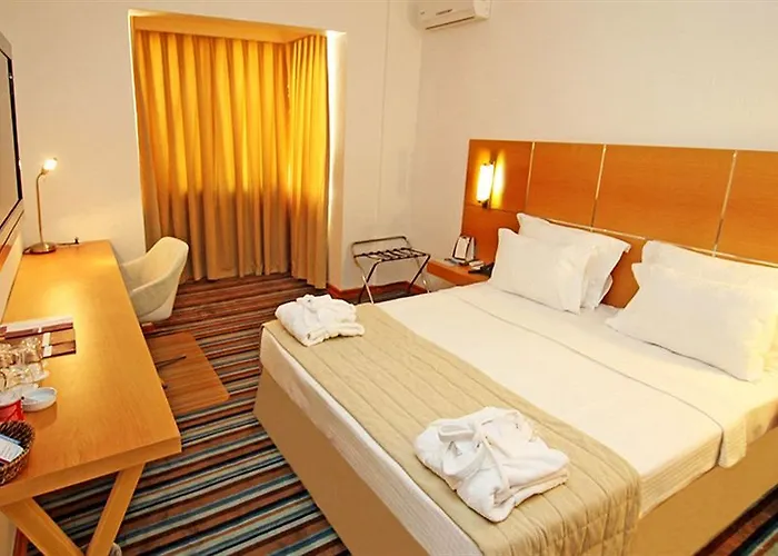 Anemon Aydin Baltakoy